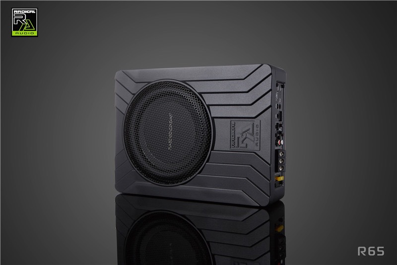 LOA SUB ĐIỆN LẮP GẦM GHẾ RADICAL RA65